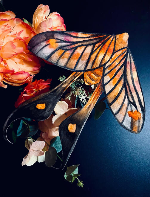 an orange moth sitting on orange flowers with black stripes along its wings. the orange fades into black around each wing's edge