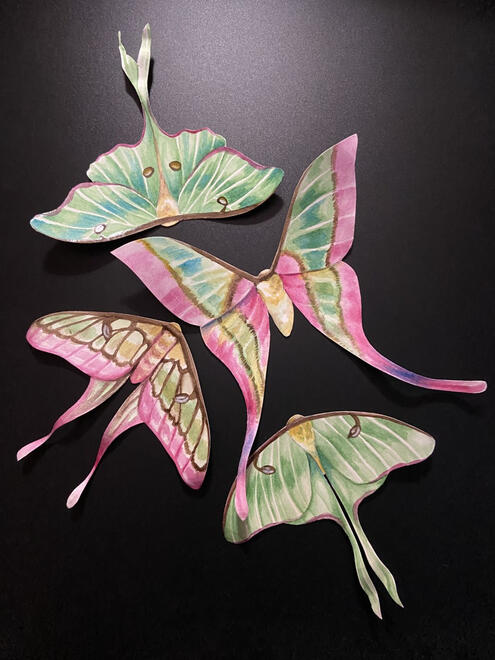 two green and pink moths lay in a circular formation with two green moths next to them.