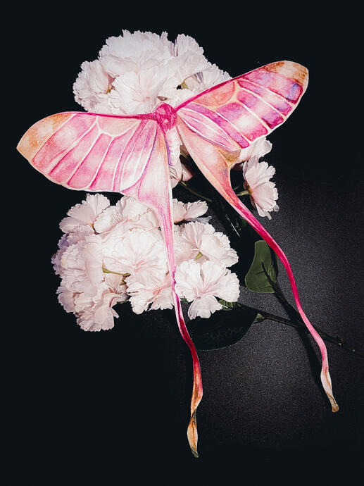 a painting of a long pink moth sitting on pale flowers. it has splashes of orange and yellow colors near the edges of each wing